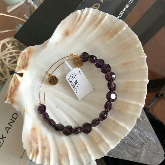Alex and Ani Purple Crystal Bangle - Picture 3 of 4